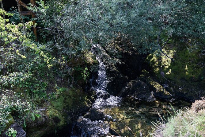City Trip Struga and Independent Vevchani From Ohrid. - Additional Information and Accessibility
