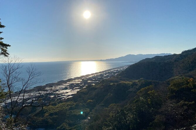 Classic Shizuoka With Mt.Fuji Viewing 1 Day Private Tour - Customization and Participation