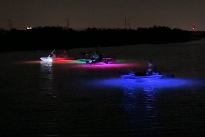 CLEAR Kayak Sunset & Light Tour - Bonita Springs / Ft Myers Beach - Wildlife Sightings