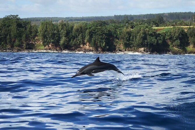 Cliffs of Hawaii Onomea Waterfall Afternoon Cruise - Booking and Cancellation Policy
