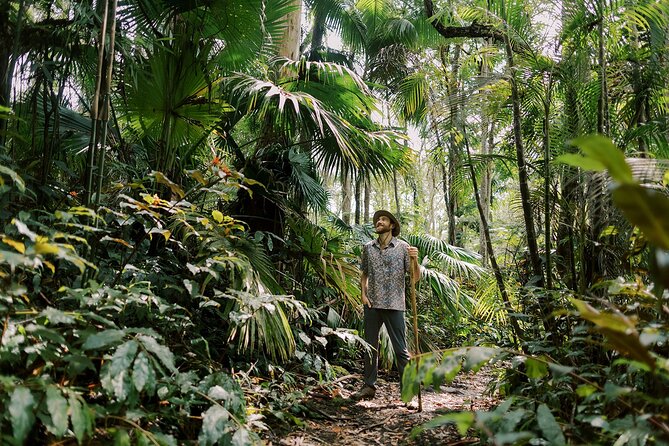 Cloud Forest Sanctuary Jungle Tour - Enhancing the Grounding Experience