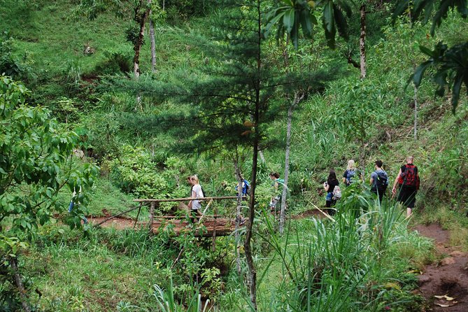 Coffee Tour Experience From Arusha - Meeting Point and Pickup