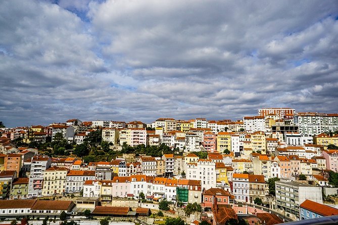 Coimbra Chronicles: A Walking Journey Through History - The Role of Local Guides