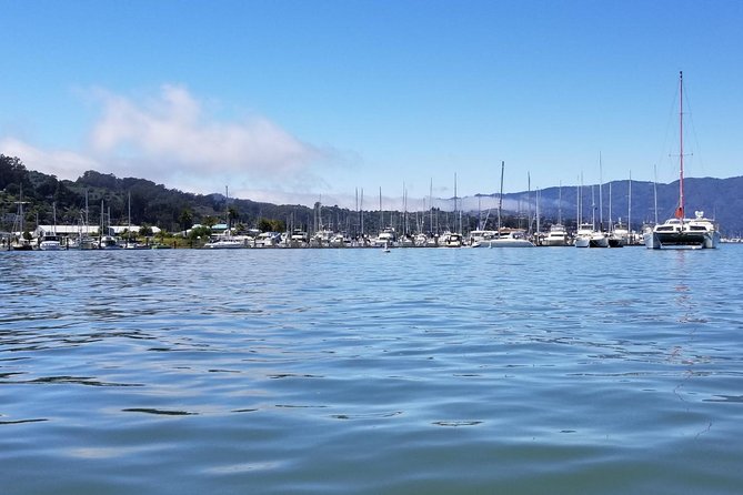 Combo Small-Group Tour: SF City Plus Muir Woods & Sausalito - Sausalito and the Golden Gate Bridge