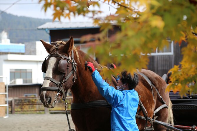 Cosy Horse Carriage Ride With Snowy Mt. Fuji Views - Capturing Memories of Mt. Fuji