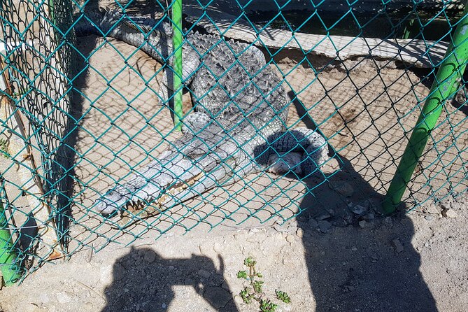 Countryside Boat Ride Beach-Horseback Ride Turtle Release - Crocs - What to Expect