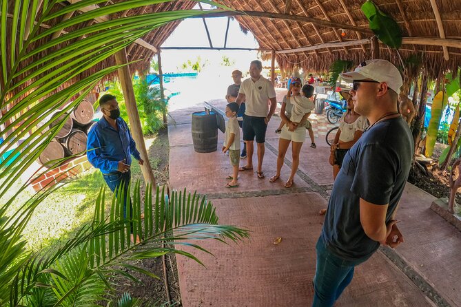 Cozumel Mustang Tour: Snorkel, Mexican Lunch and Mayan Experience - Meeting and Pickup Details