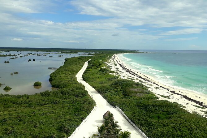 Cozumel National Park and Beach Break: Private Tour - Pickup and Meeting Logistics