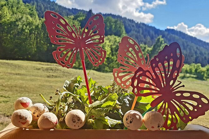 Creative Workshop - Vegetable Garden in Boxes - Booking Details
