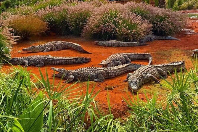 Crocodile Park+ Coco Polizzi Including Transportation and Entrance - Accessibility Features