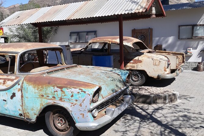 Cruise Liner Special: Swakopmund and Namib Desert Highlights - Why Choose This Tour