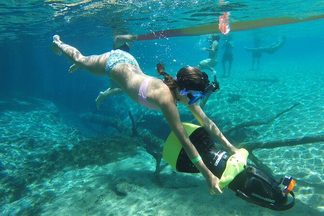 Cypress Springs Eco Adventure - Activity Options and Experiences