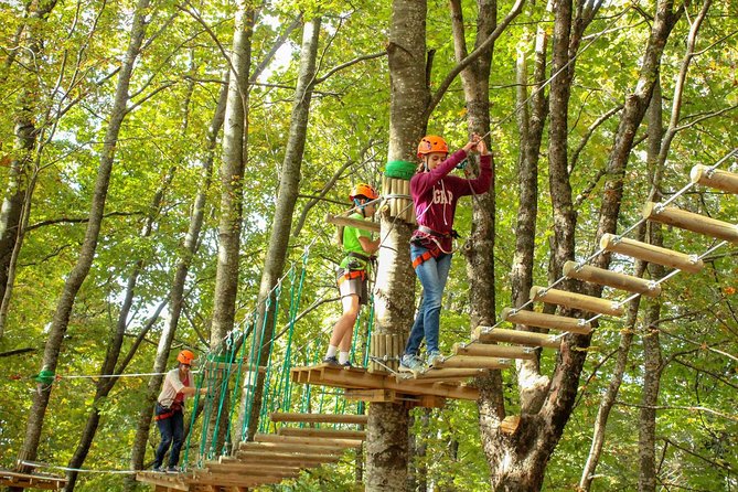 Dajti National Park by Cable Car - Inclusions and Exclusions