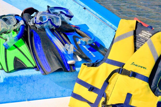 Danzante Island and Snorkel Tour From Villas Del Palmar Hotel - Customer Experiences and Reviews