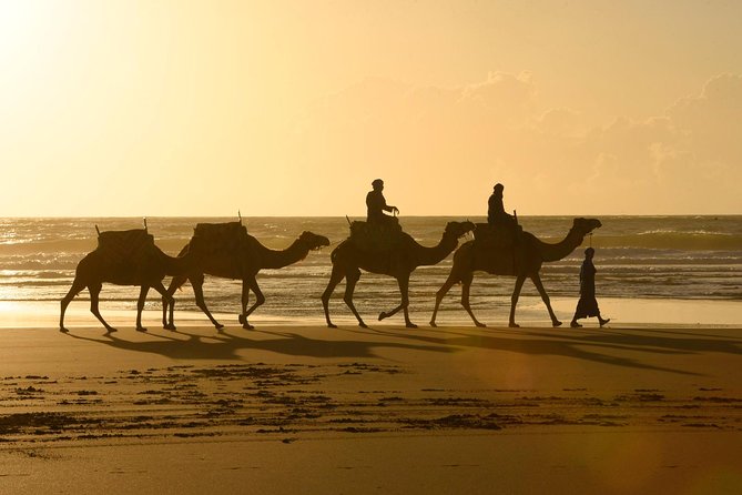 Day Camel Ride With Picnic on Essaouiras Beach - Cancellation Policy