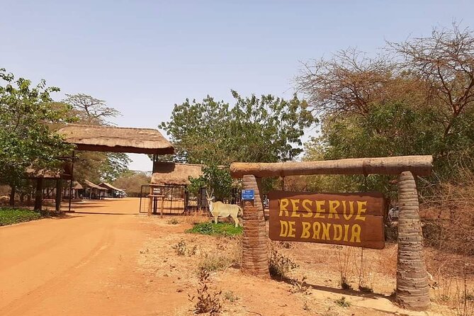 Day Tour Bandia Wildlife Reserve and Pink Lake - Pricing and Booking Options