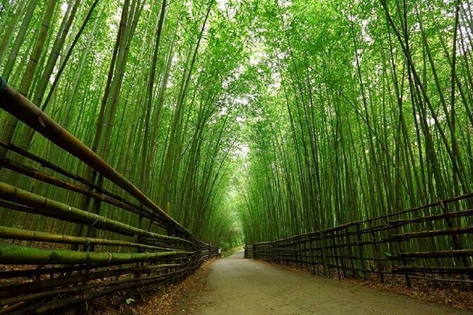 Day Tour From Osaka to Kyoto Lets Enjoy Kyotos Food and Scenery - Preparing for the Day Tour