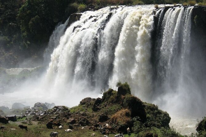 Day Trip Bahir Dar, Lake Tana and Blue Nile Falls Tours - Tips for Travelers