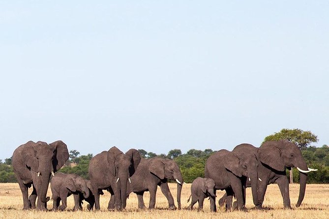 Day Trip Lake Manyara - Travel Considerations