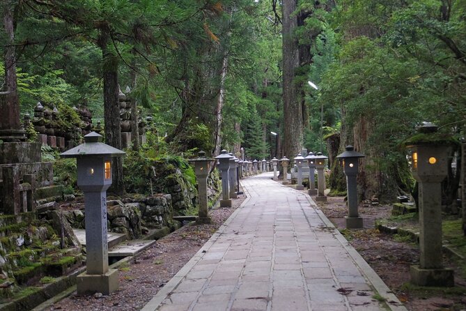 Day Trip Sacred Sites at Koyasan From Osaka - Dietary Accommodations