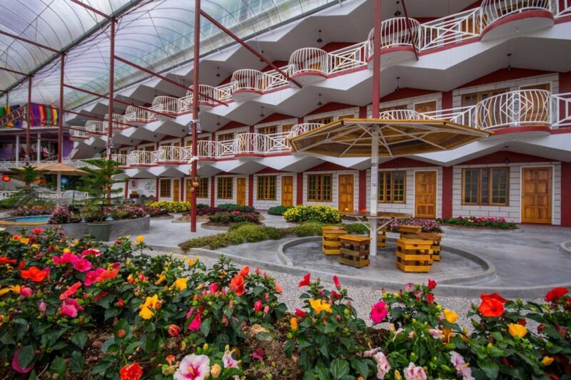 Day Trip to Cameron Highlands - Comfort and Convenience
