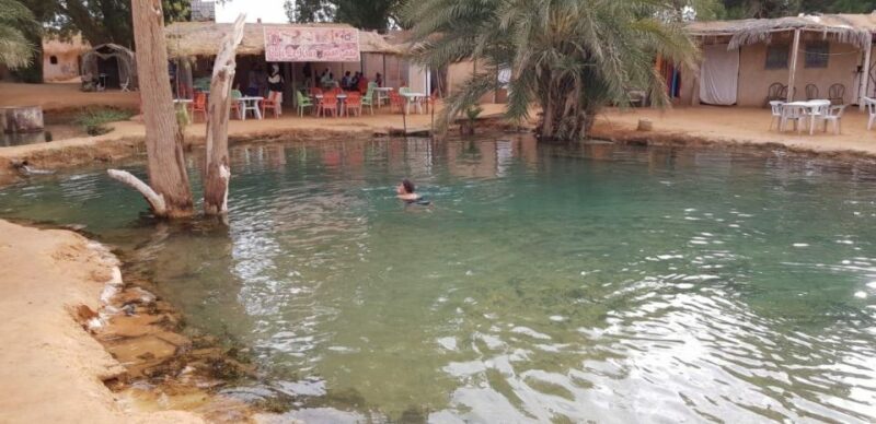 Day Trip to Desert to Ksar Ghilane From Djerba or Zarzis - Group and Language Options