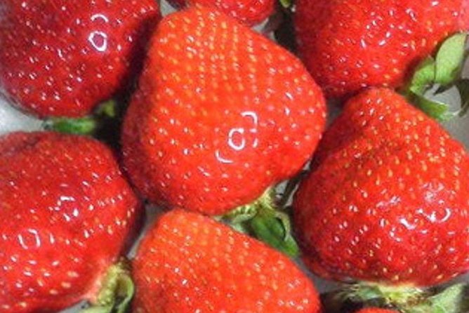 Day Trip to Fruits Pick & Shopping in Fukuoka With Minibus:7m - Accessibility and Suitability