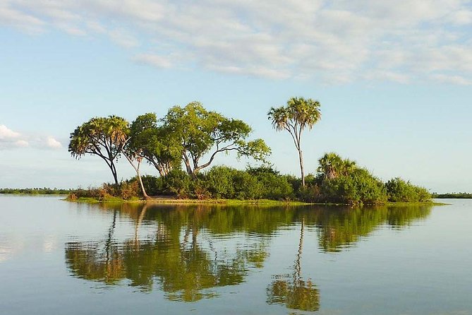 Day Trip to Selous National Park From Zanzibar or Dar Es Salaam - Tour Logistics
