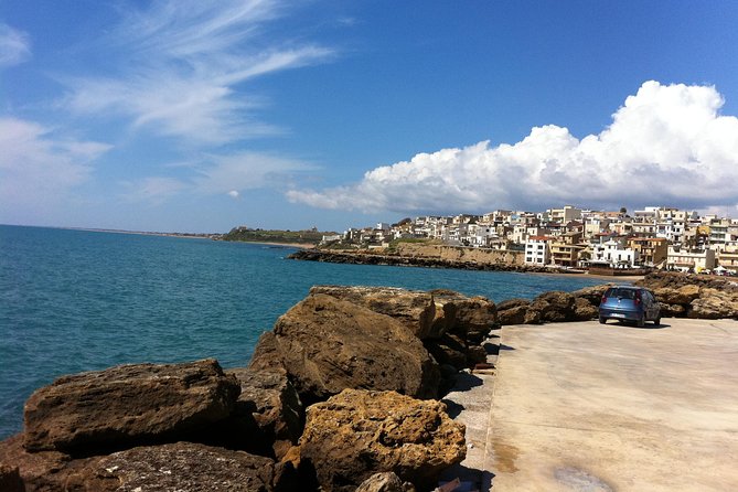 Day Trip to the Acropolis of Selinunte From Trapani - Accessibility Information
