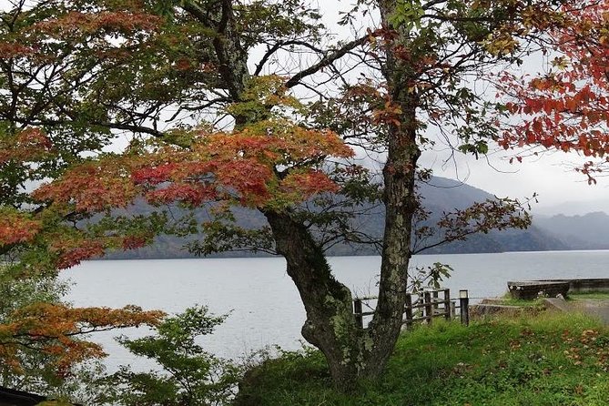 Daytrip to Nikko From Tokyo With Local Japanese Photograher Guide - Booking and Cancellation Policy