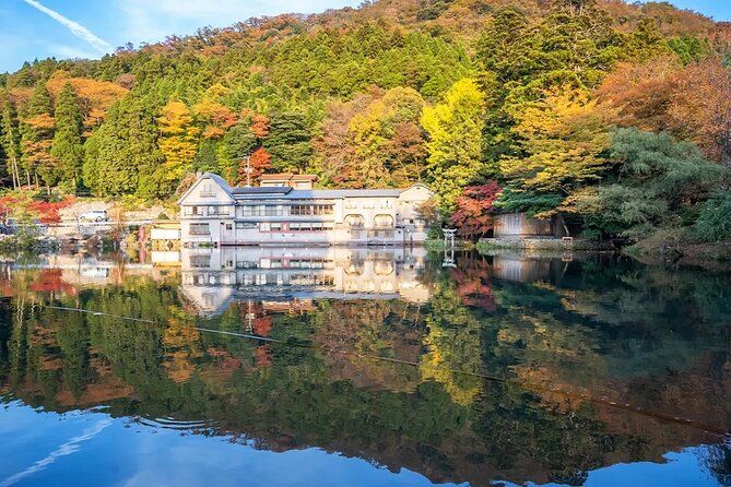 Dazaifu Nyoirinji Temple Yufuin One Day Tour From Fukuoka - Accessibility and Participation Requirements