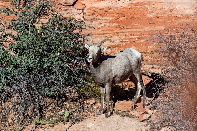 Delicate Arch Trail Self-Guided Audio Walking Tour - Pricing and Savings Tips
