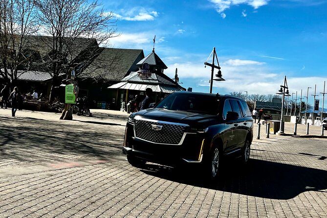 Denver Airport to Aspen / Snowmass Private Shuttle - Accessibility Options