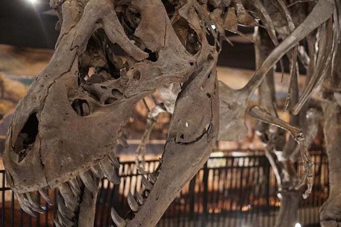 Dinosaur World Theme Park - Activities and Attractions