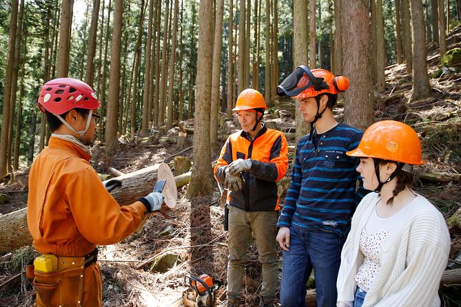 Discover Foresters Life Tour (1-Day) - Accessibility and Health Restrictions