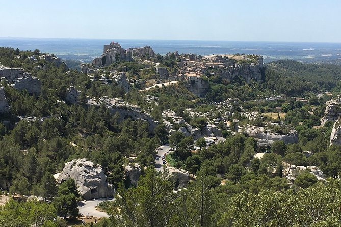 Discover Provence Including Avignon and Luberon Villages With a Local Guide - Experiencing the Lavender Fields of Provence