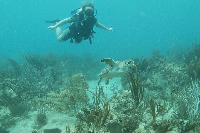 Discover Scuba Diving for Beginners in San Juan - Health and Safety Considerations