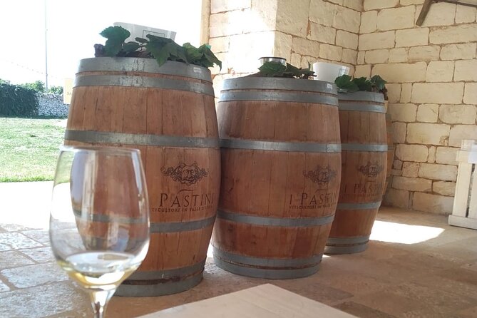 Discover Valle D Itria and Its Wines by Ebike - Pricing Information