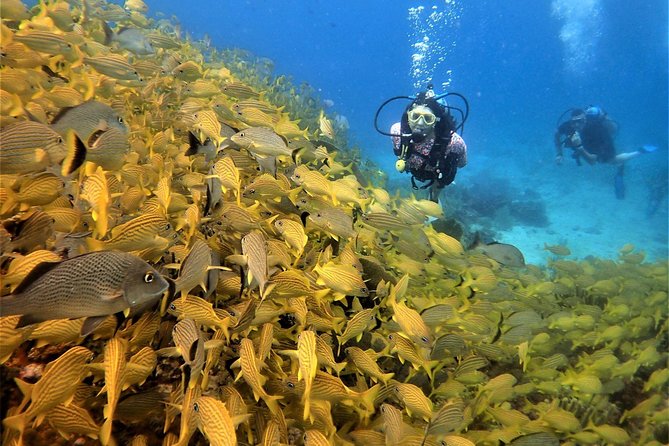 Diving in Cancun Underwater Museum of Art - Health and Safety Guidelines