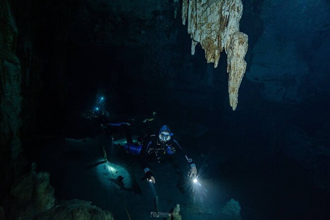 Diving in Cenotes: Discovering the Mayan Underworld - Essential Inclusions