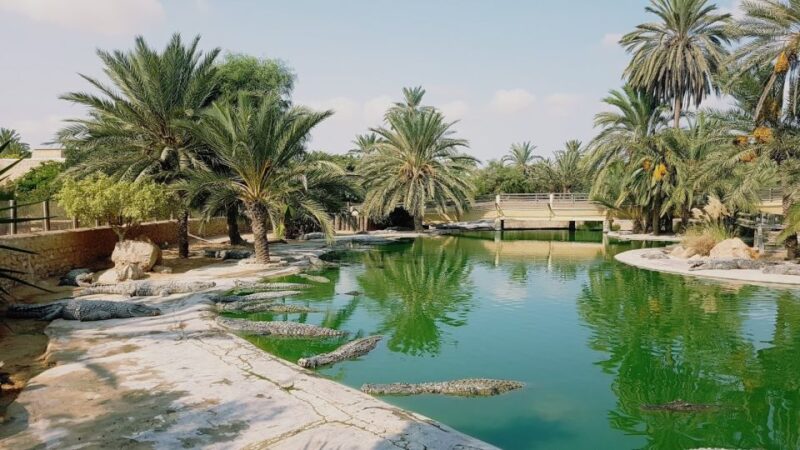 Djerba: Explore Park and Crocodile Farm With Pickup - Customer Feedback