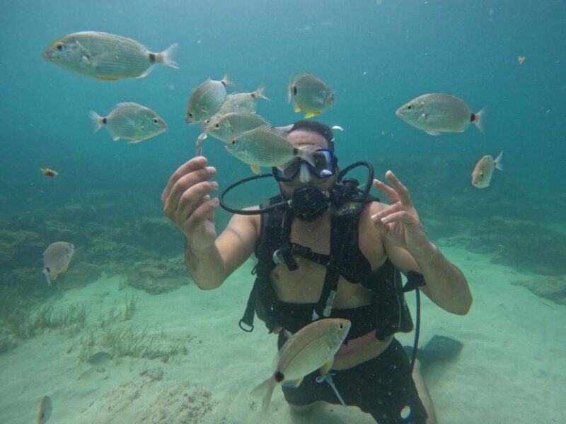 Djerba: Introductory Scuba Diving Session - Pickup and Transportation