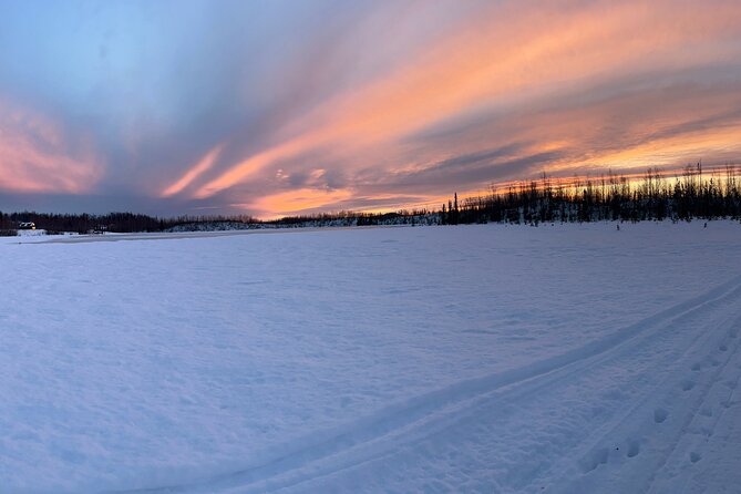Dog Sledding With Alaskan Huskies Review - Participant Requirements and Restrictions