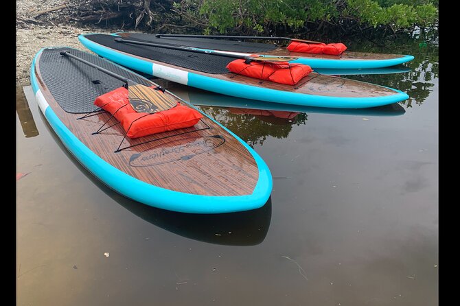 Dolphin and Manatee Adventure Tour of Osprey With Florida History - Accessibility and Additional Tour Details