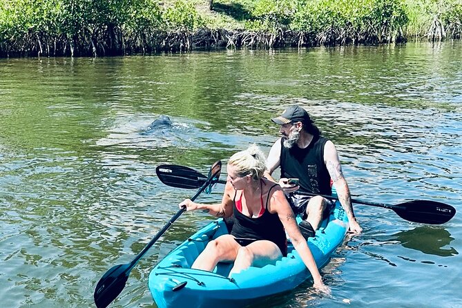Dolphin and Manatee Kayak and SUP Adventure Tour of Cocoa Beach - Meeting and Cancellation Details
