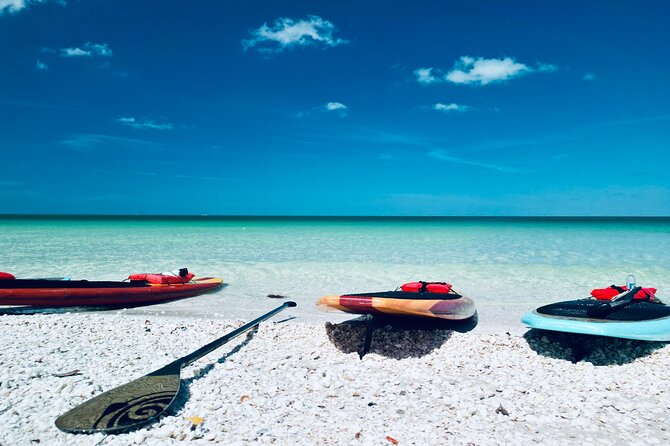 Dolphin, Manatee and Sea Turtle Adventure Tour Review - Highlights of the Tour