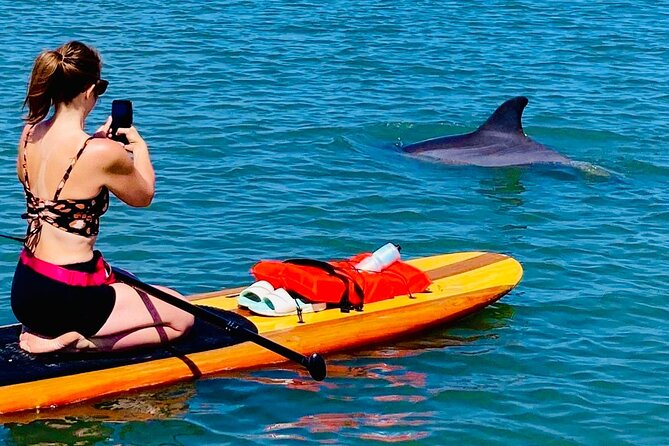 Dolphin, Manatee and Sea Turtle Kayak Adventure - Booking Flexibility and Unique Features
