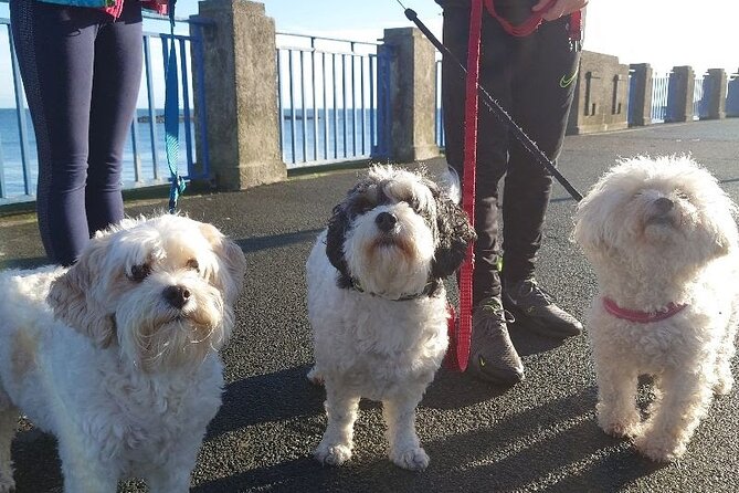 Douglas, Isle of Man: Self Guided Walk & Immersive Treasure Hunt - How the App Works
