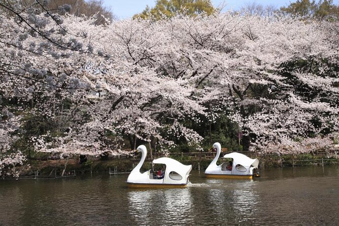 Drinks & Bites in Tokyo Private Tour - Additional Information