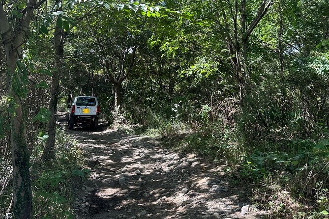 Driving Experience at the Nearest Off-Road Course From Tokyo - Navigating the Challenging Terrain